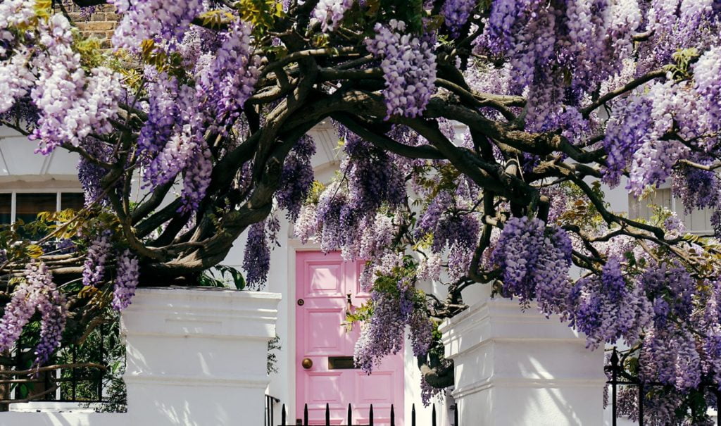 Accurate pricing is essential and there’s a positive summer ahead