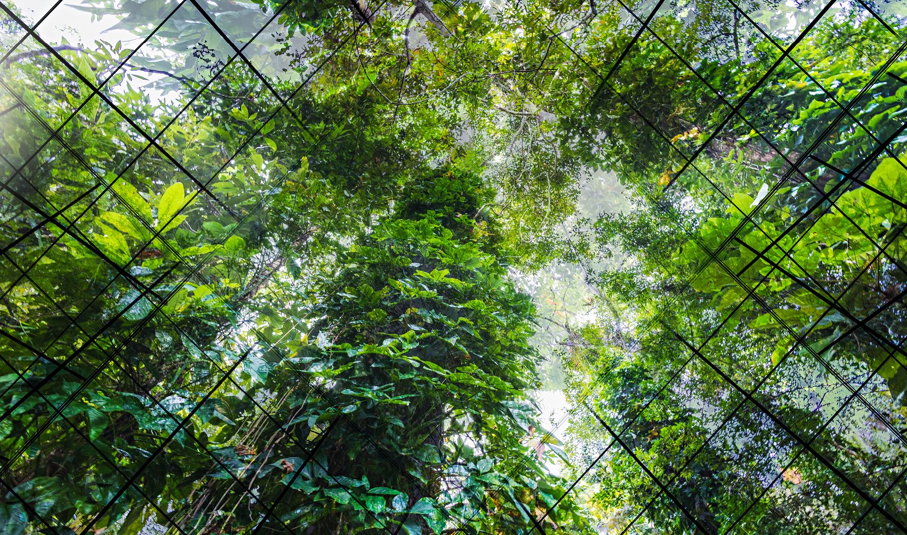 More significant incentives needed to retrofit homes