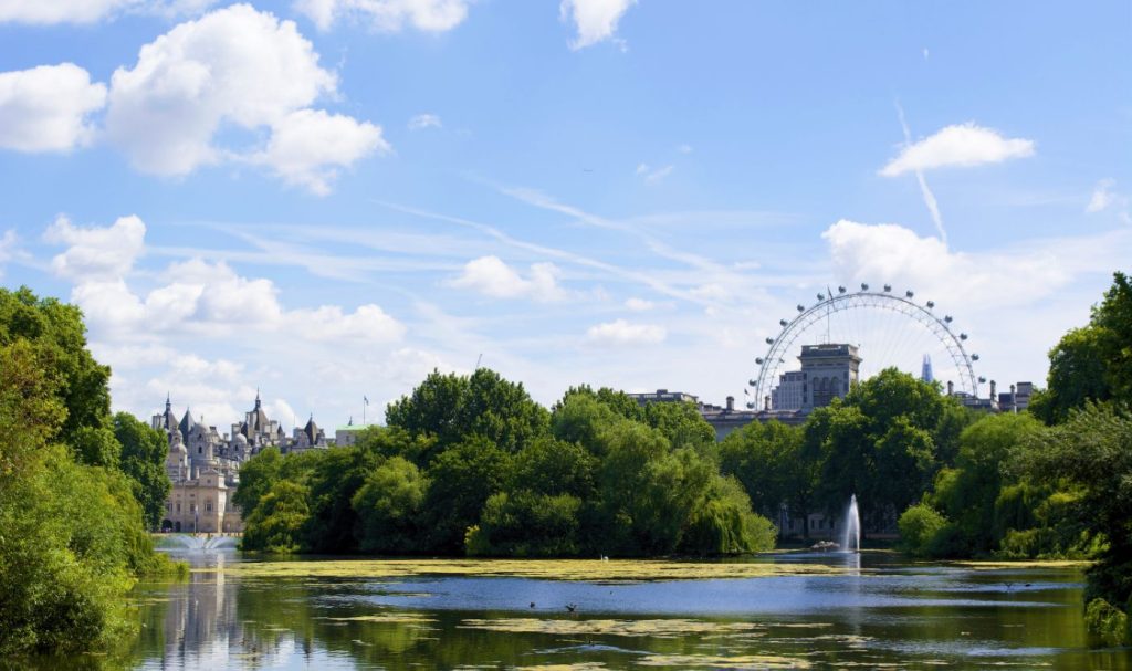 Positive summer reported for property market