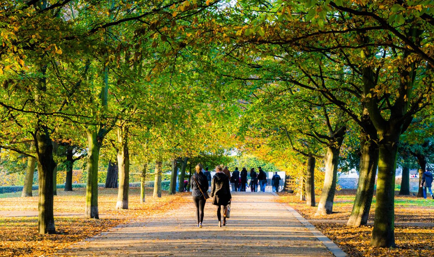 Transactions bounce back