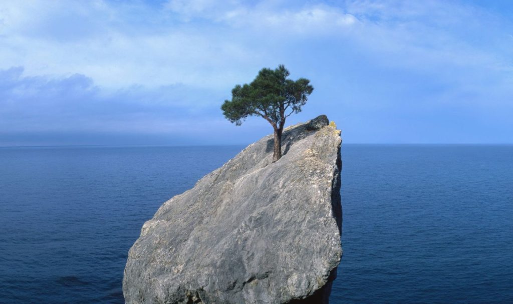 Resilience for mortgage activity and house prices in 2024