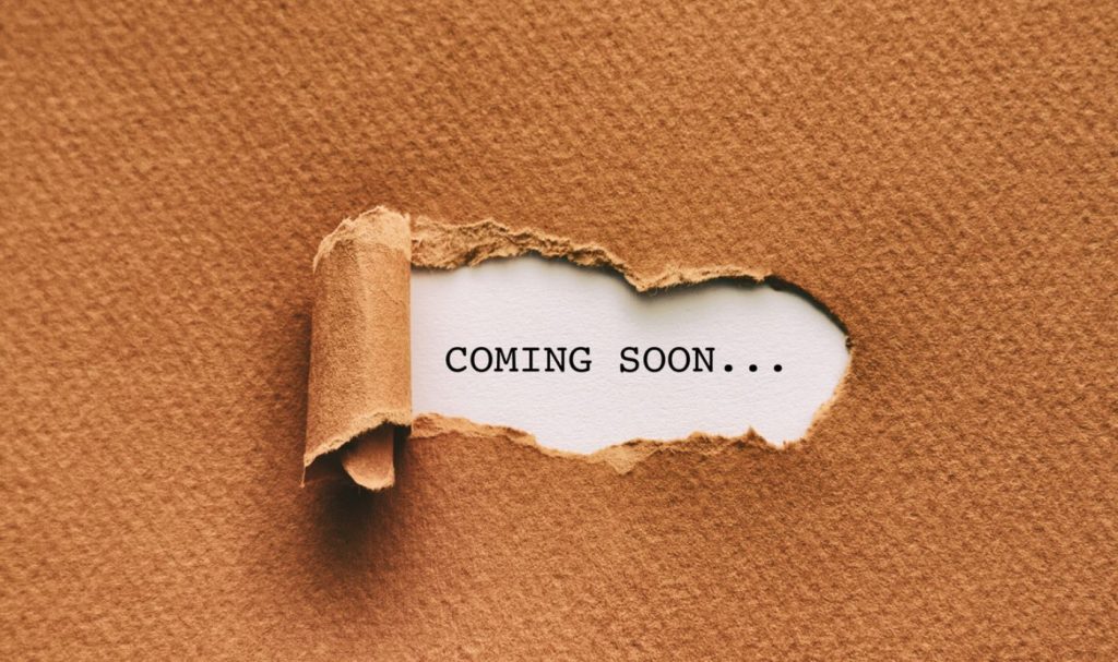 Renters Reform – Full Implementation Coming Soon