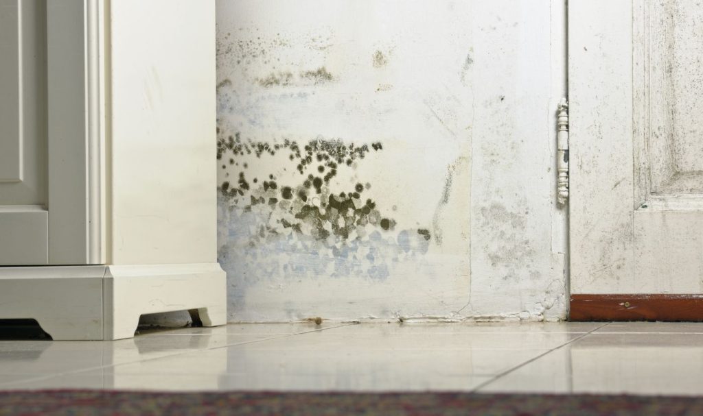 Decent Homes Standard